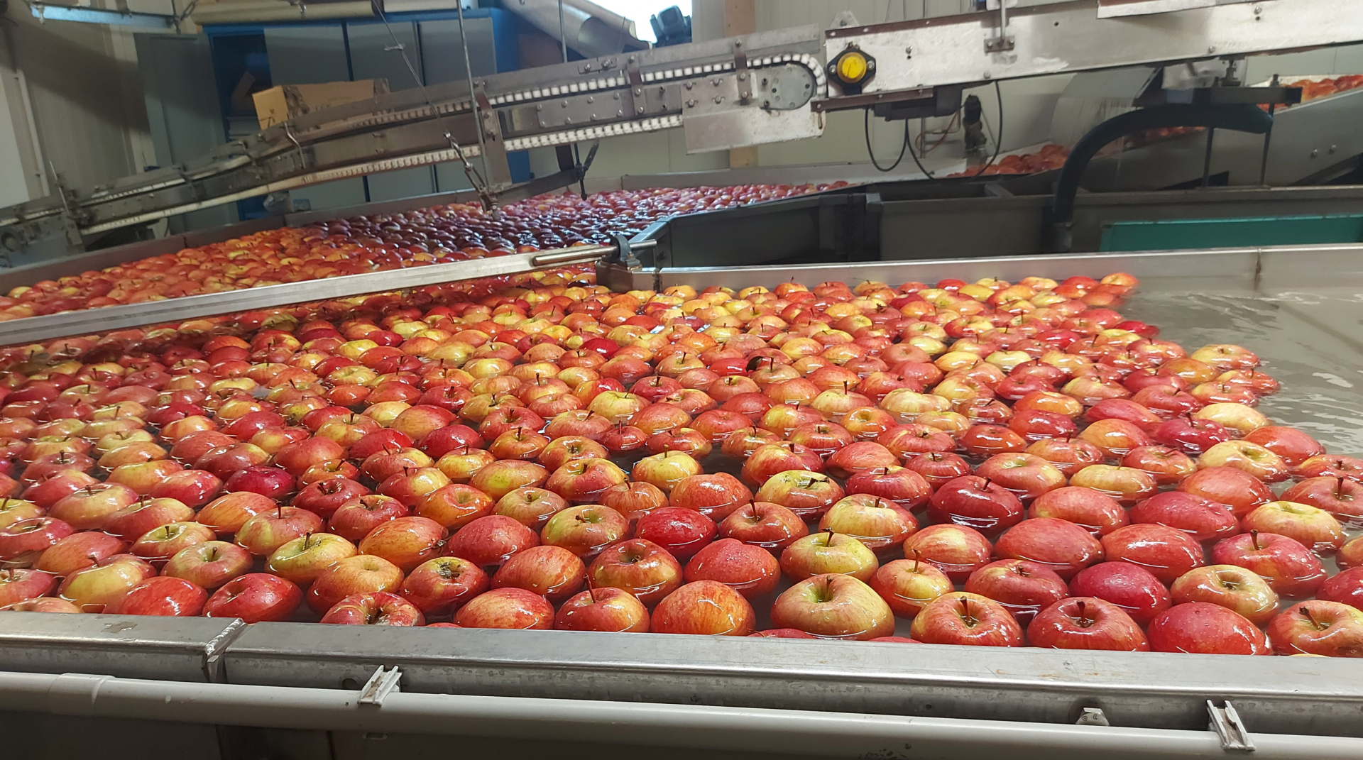 Äpfel