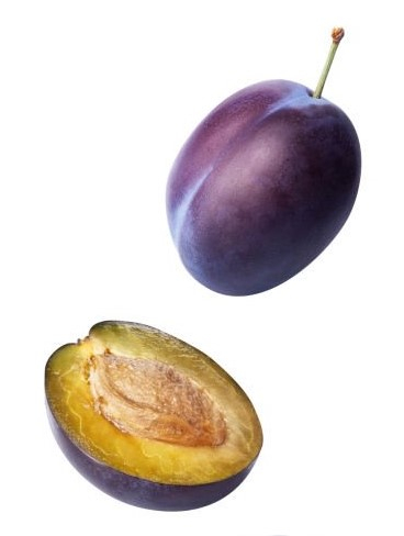 zwetschke