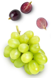weintrauben